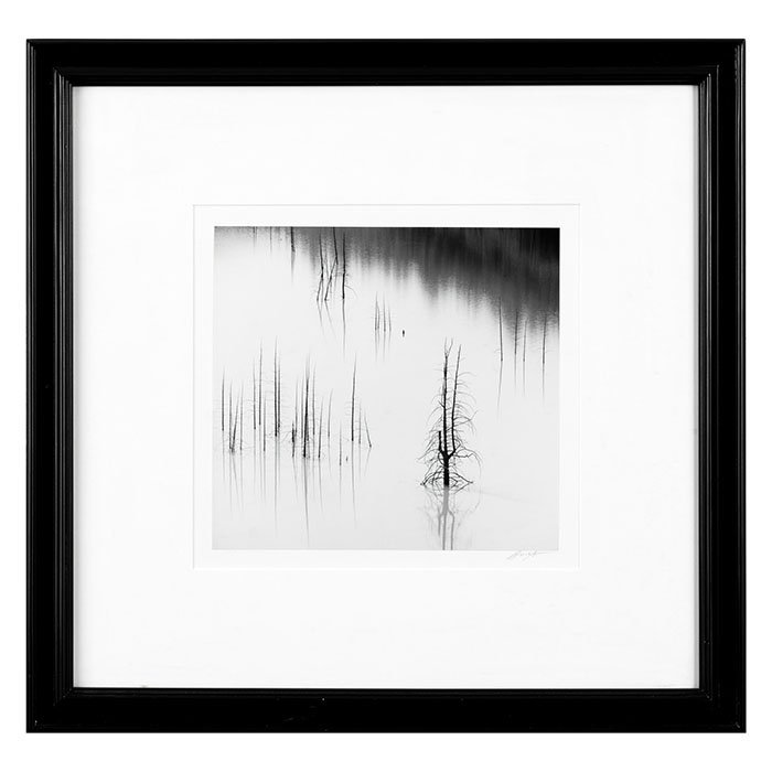 Ansel Adams (1902-1984)